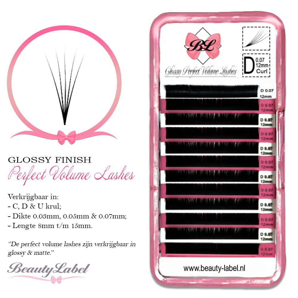 Glossy perfect volume lashes