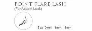 Blink Point accent flare lash