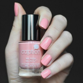 Caption 042 Perfect's not in my vocab