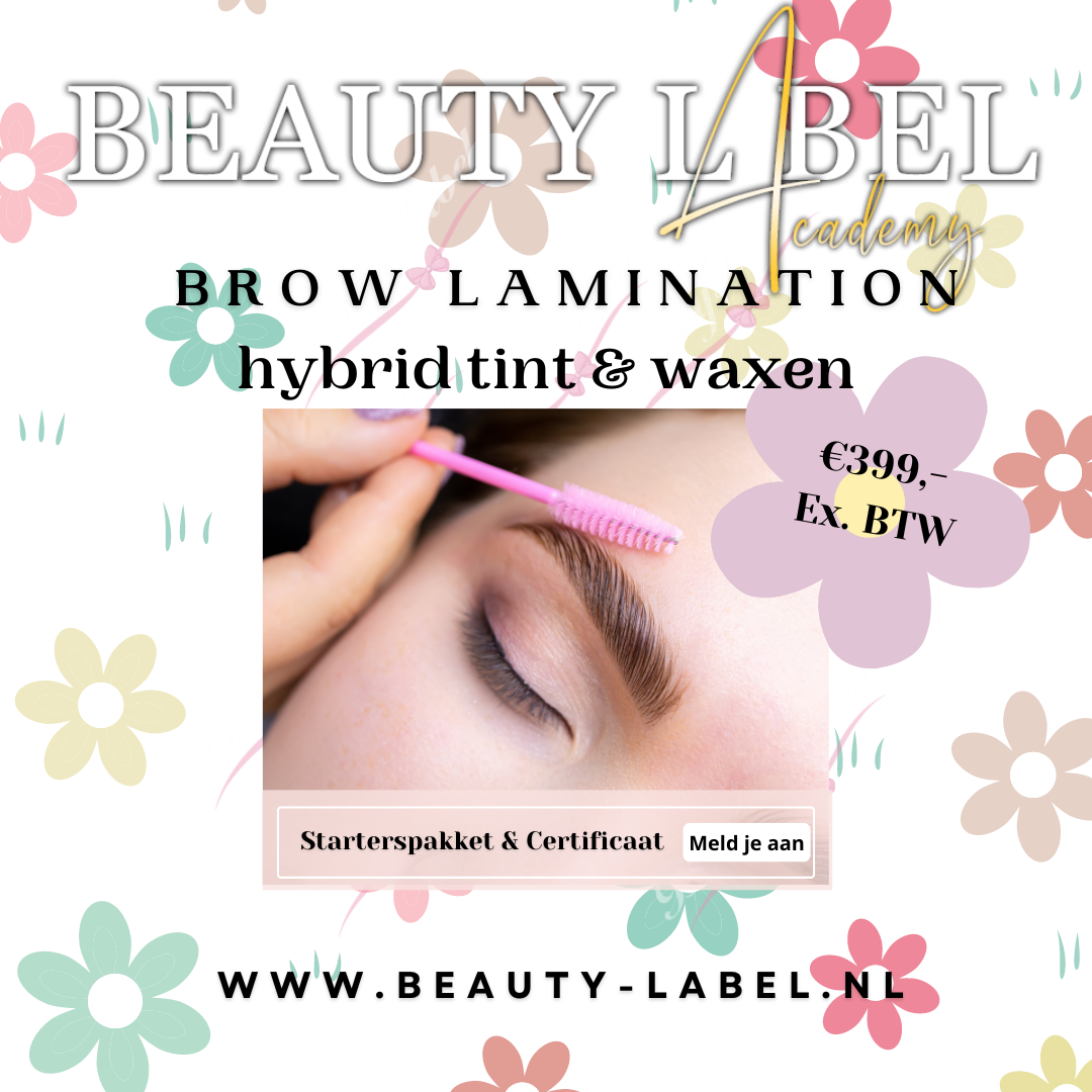 Browlamination Hybrid tint + allround browstylist