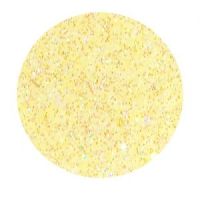 YN Heavenly glitter - Prominence 7g