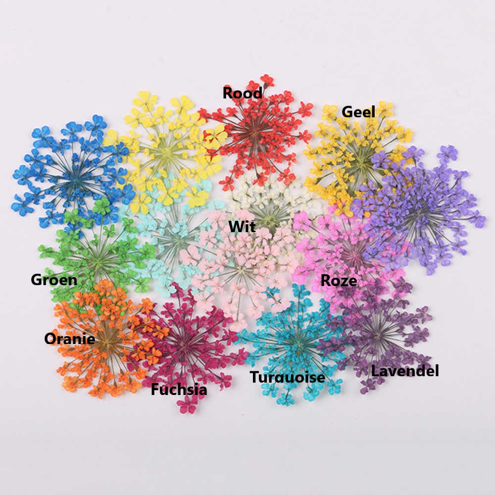 Nail Art Droogbloemen in een zakje (per kleur)