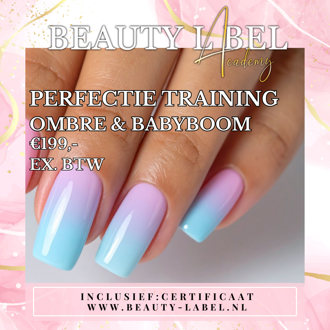Perfectie Training - Ombre / Babyboom (1dag)